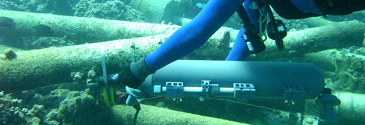 Diver using Niskin collection bottle